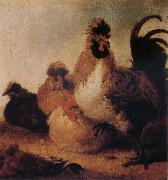 Rooster and Hens Aelbert Cuyp